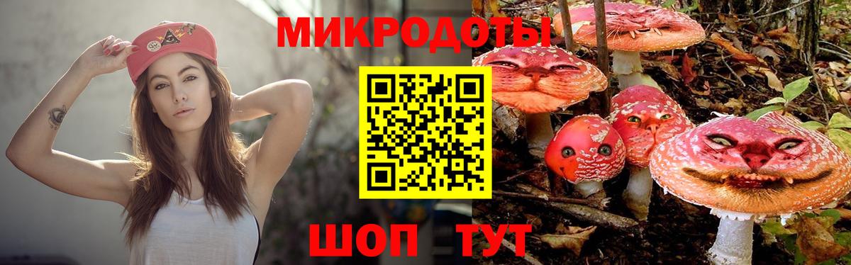 Псилоцибиновые грибы Cubensis Карасук