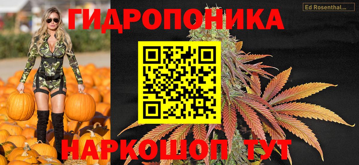 Конопля MAZAR Карасук